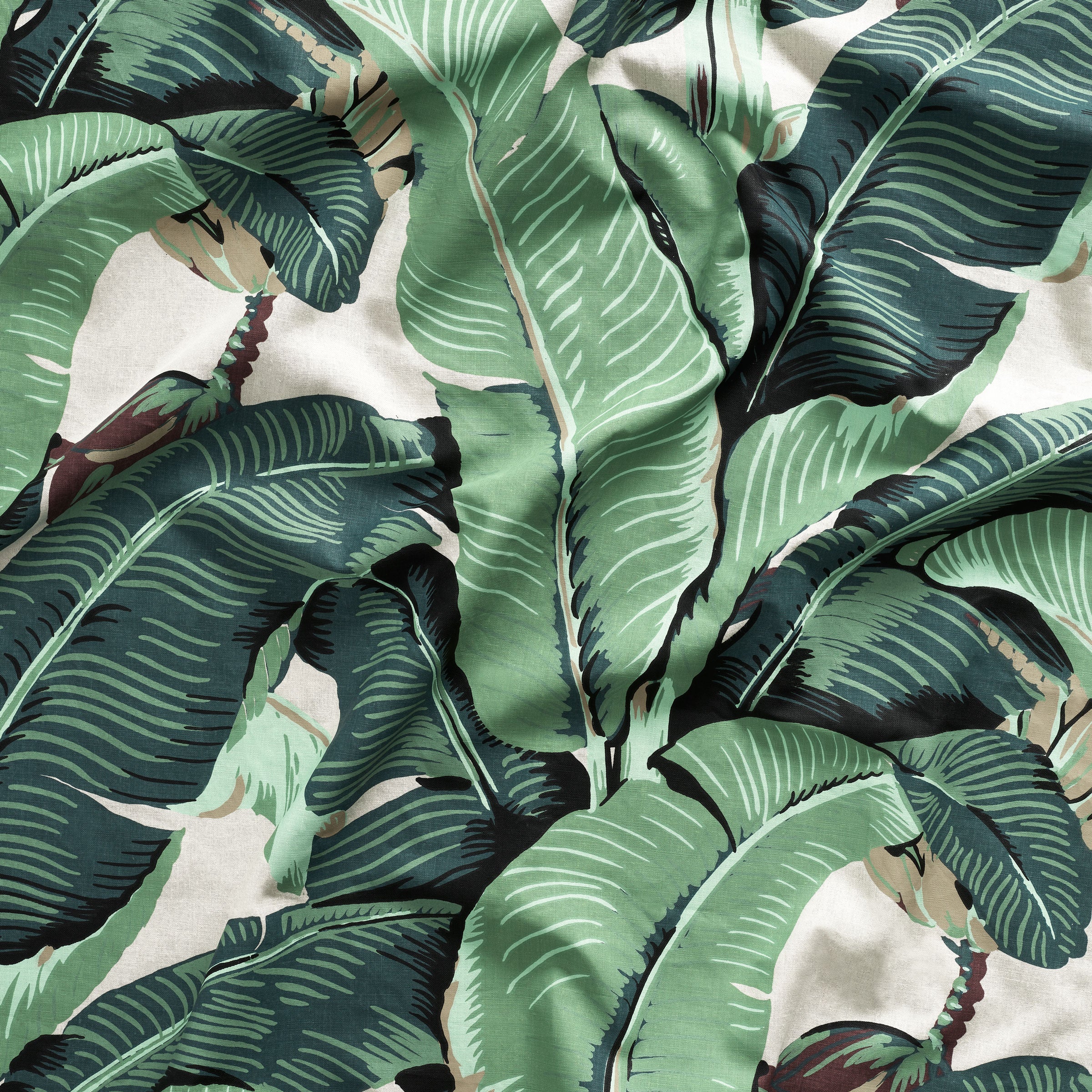 10 Banana Leaf Wallpaper Instagrams to Celebrate the Coming of Spring   Vogue